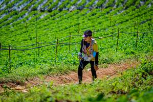 BIB: 
                            <button type="button" onclick="openModal(19164584)" class="btn btn-primary btn-sm float-right btn-popup" data-toggle="modal" data-target=".modal-high-quality">
                        <i class="fas fa-shopping-cart"></i> Add to Cart
                    </button>
                                            <button type="button" onclick="isThisMe(19164584, true)" class="btn btn-success btn-sm float-right btn-popup btn-isme hidden" data-toggle="tooltip" data-placement="bottom" title="นี่คือรูปของคุณใช่ไหม คลิกที่นี่เพื่อเอาเข้าอัลบั้ม">
                        <i class="fas fa-plus"></i> Add to album
                    </button>
                    <button type="button" onclick="isThisMe(19164584, false)" class="btn btn-warning btn-sm float-right btn-popup btn-isnotme hidden">
                        <i class="fas fa-ban"></i> Remove from album
                    </button>